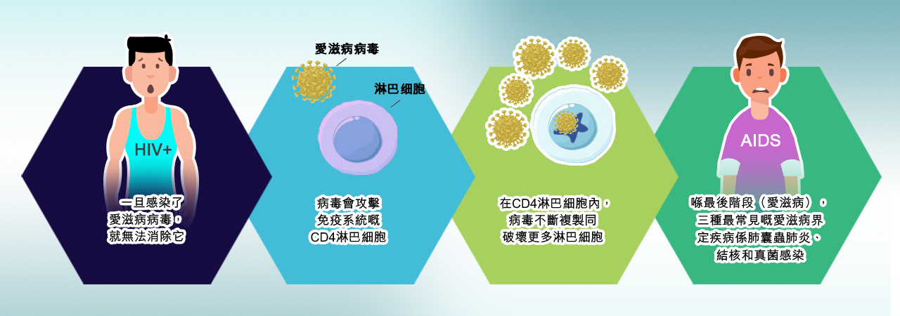 基本資料